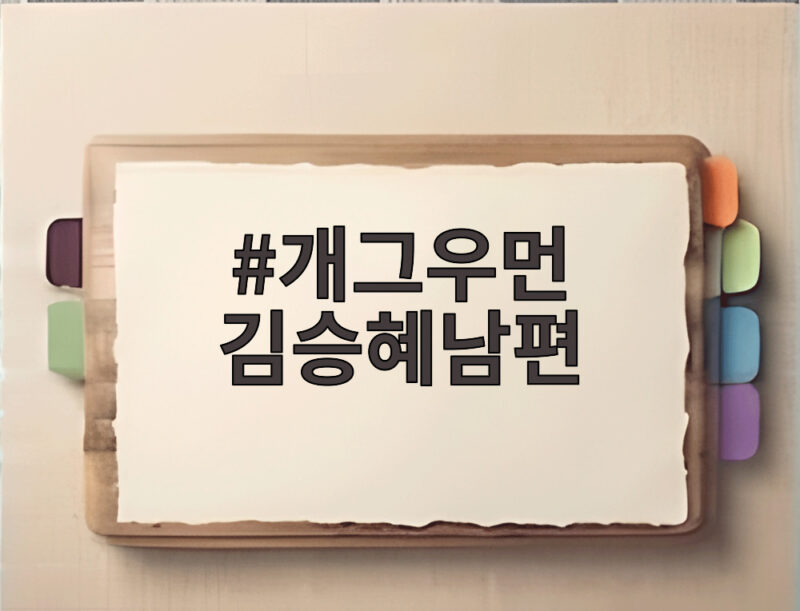개그우먼 김승혜남편 김해준이 지킨 4cm 출산의 비하인드 1 개그우먼 김승혜남편