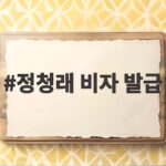 정청래 비자 발급 보류에 미국 대신 유럽행을 선택한 이유 정청래 비자 발급