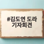 김도연 도라 기자회견