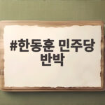 한동훈 민주당 반박 나라 위기인데 한동훈만 외친다 한동훈 민주당 반박