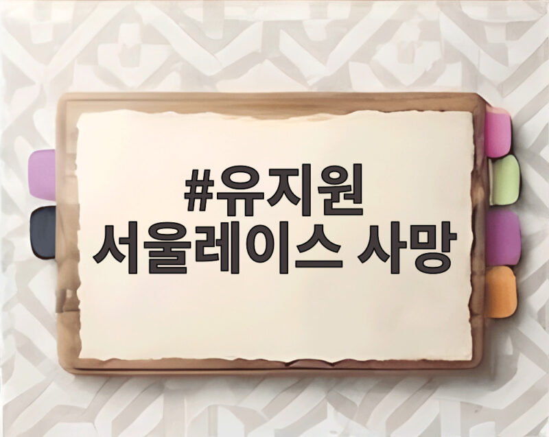 유지원 서울레이스 사망 사고 골인 500m 앞에서 벌어진 안타까운 이유 1 유지원 서울레이스 사망