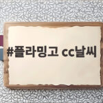 플라밍고 cc날씨와 어메이징크리 오픈 1라운드 배용준 선두 비결 플라밍고 cc날씨