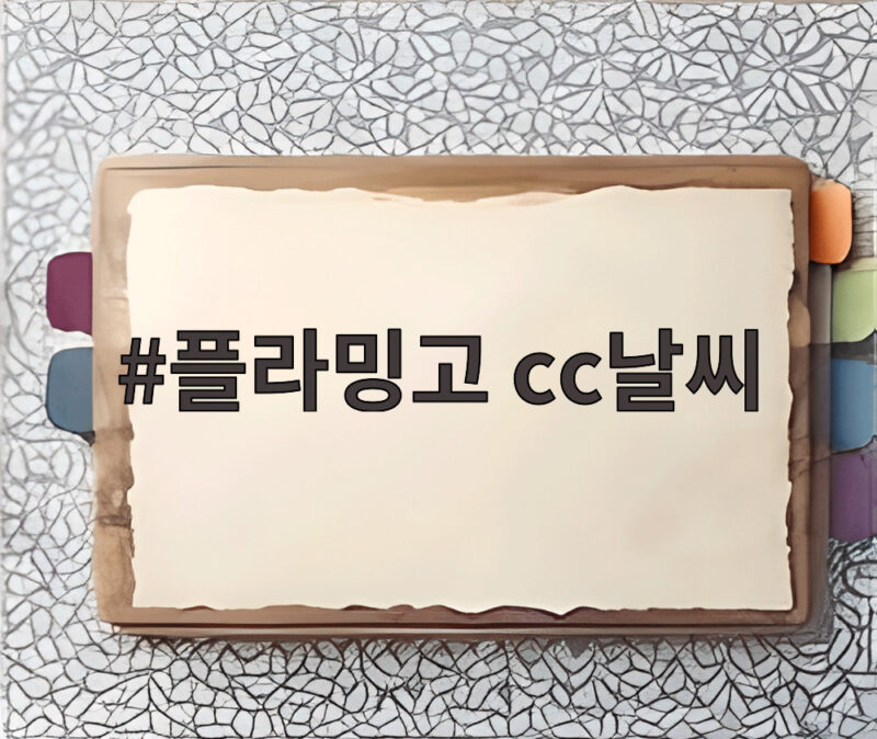 플라밍고 cc날씨와 어메이징크리 오픈 1라운드 배용준 선두 비결 1 플라밍고 cc날씨
