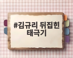 김규리 뒤집힌 태극기