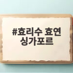 효리수 효연 싱가포르