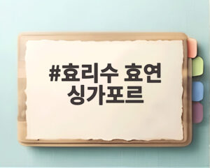 효리수 효연 싱가포르