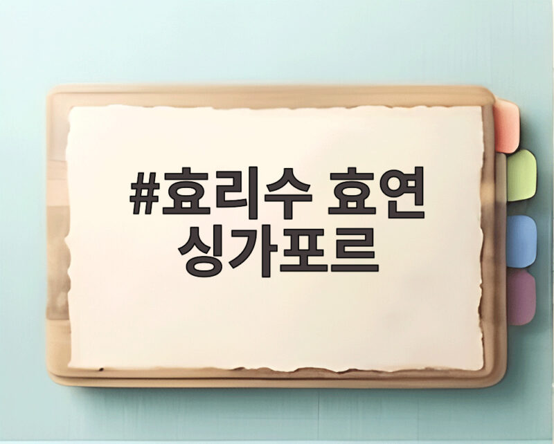 효리수 효연 싱가포르 출국 현장 공항패션 리더의 존재감을 확인해 보세요 1 효리수 효연 싱가포르