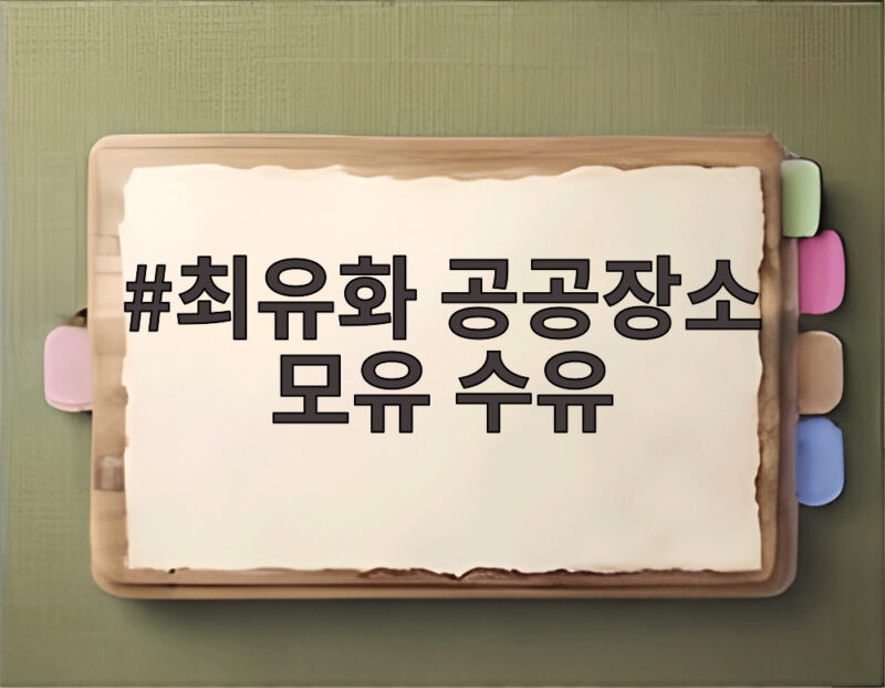 최유화 공공장소 모유 수유 공개에 엄마들이 느낀 공감대 1 최유화 공공장소 모유 수유