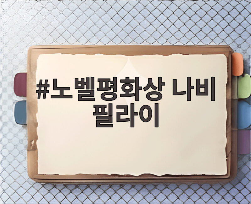 노벨평화상 나비 필라이 수상 소식과 국제법 공로 확인해 보기 1 노벨평화상 나비 필라이