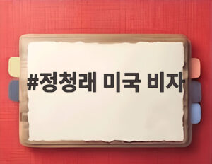 정청래 미국 비자