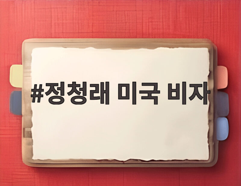 정청래 미국 비자 발급 보류가 한미동맹 불신 신호라면 1 정청래 미국 비자
