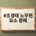 조경태 노무현 묘소 참배