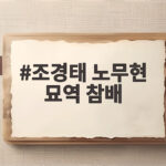 조경태 노무현 묘역 참배 그리고 무너진 정치의 금도를 짚다 조경태 노무현 묘역 참배