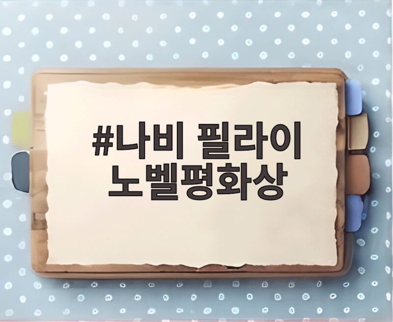 나비 필라이 노벨평화상