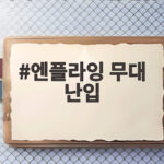 엔플라잉 무대 난입 사건으로 본 공연장 안전 관리 엔플라잉 무대 난입
