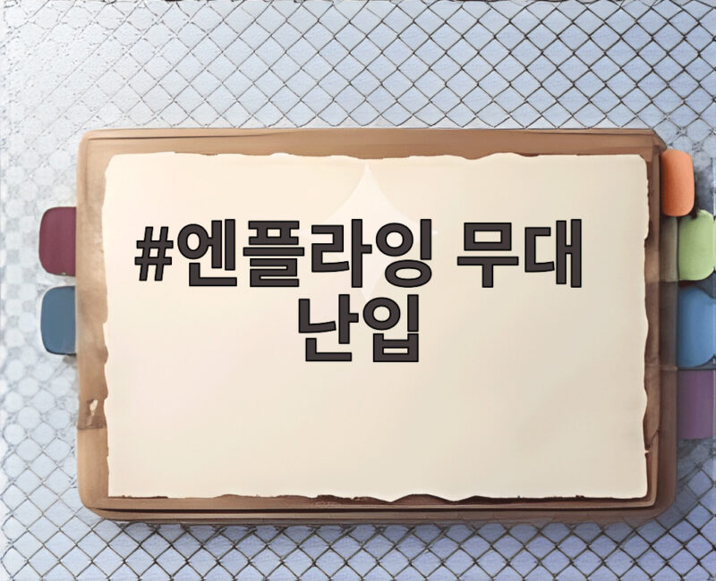 엔플라잉 무대 난입