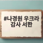 나경원 우크라 감사 서한