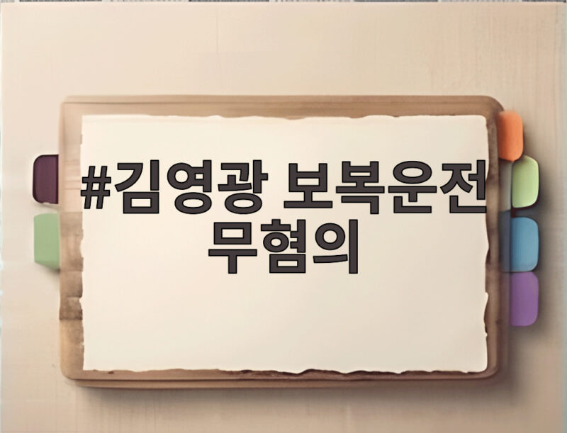 김영광 보복운전 무혐의