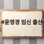 윤영경 임신 출산 소식 공무원 퇴직 후 내년 2월 새 생명을 만나요 윤영경 임신 출산