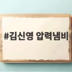 김신영 압력냄비로 누구나 쉽게 맛있는 집밥 만들기 김신영 압력냄비