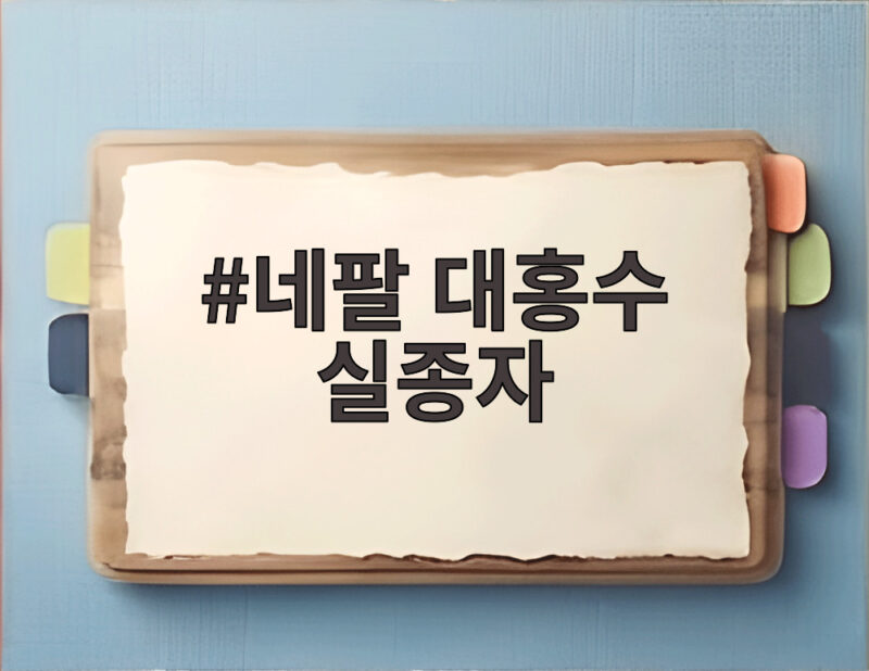 네팔 대홍수 실종자 5천명 사망선고가 45일로 줄어든 이유 1 네팔 대홍수 실종자