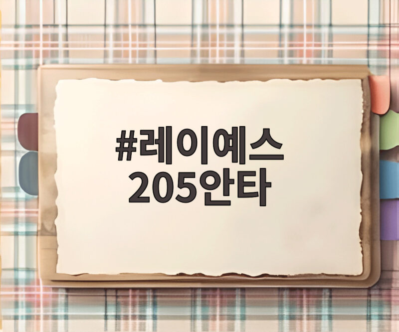 레이예스 205안타