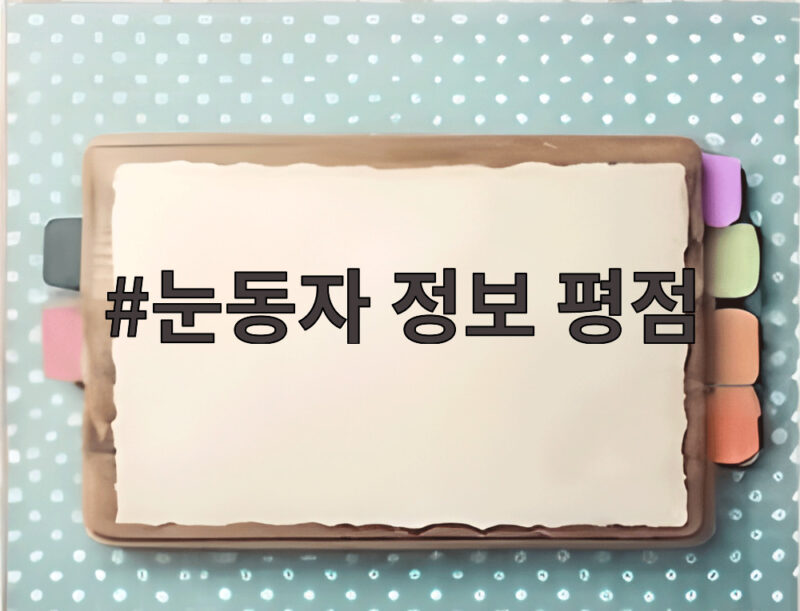 눈동자 정보 평점