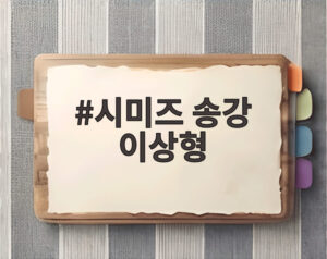 시미즈 송강 이상형