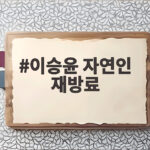 이승윤 자연인 재방료