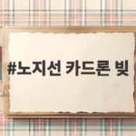 노지선 카드론 빚