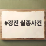 강진 실종사건
