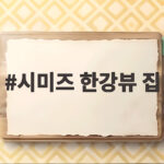 시미즈 한강뷰 집 직접 보니 아이브 안무가 대표 일상까지 궁금해 시미즈 한강뷰 집