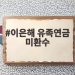이은해 유족연금 미환수 1300만원의 행방과 환수대책 이은해 유족연금 미환수