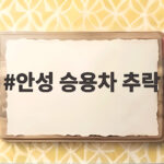 안성 승용차 추락
