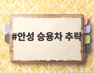 안성 승용차 추락