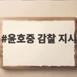 윤호중 감찰 지시 임은정 청장 반응과 향후 일정은 윤호중 감찰 지시