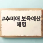 추미애 보육예산 해명