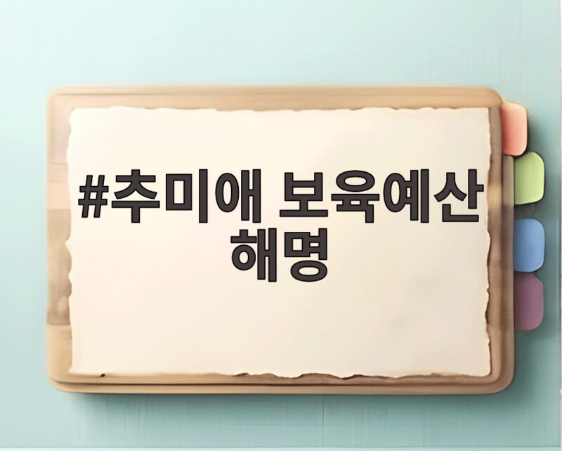 추미애 보육예산 해명 오해와 진실 자세히 알아보기 1 추미애 보육예산 해명