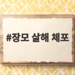 장모 살해 체포 이혼 소송 중 아내 납치 사건 전말과 신변보호의 한계 장모 살해 체포