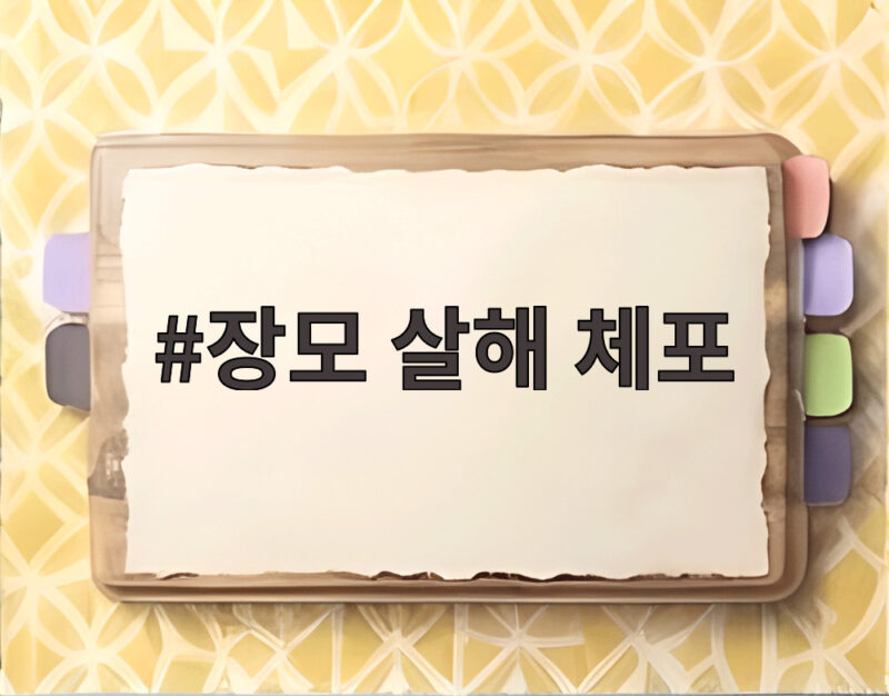 장모 살해 체포 이혼 소송 중 아내 납치 사건 전말과 신변보호의 한계 1 장모 살해 체포