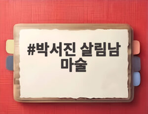 박서진 살림남 마술