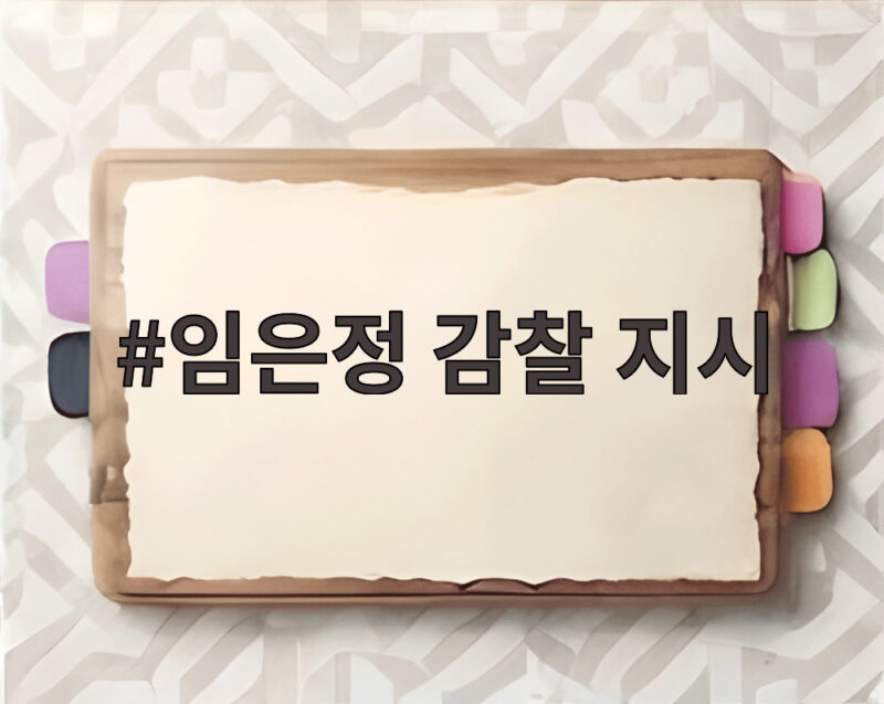 임은정 감찰 지시 중수청장 후보자 공개 비판이 부른 후폭풍 1 임은정 감찰 지시