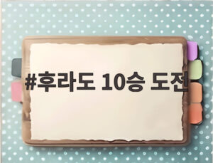 후라도 10승 도전