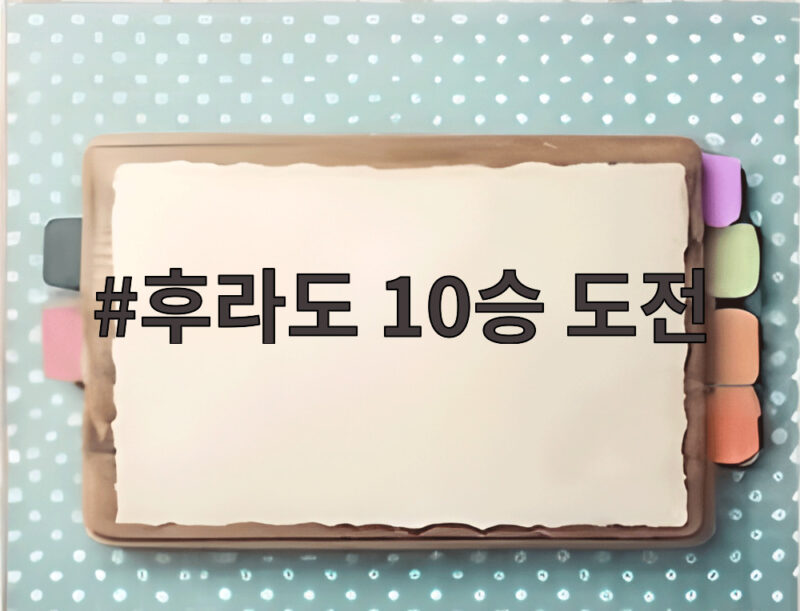 후라도 10승 도전