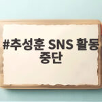 추성훈 SNS 활동 중단