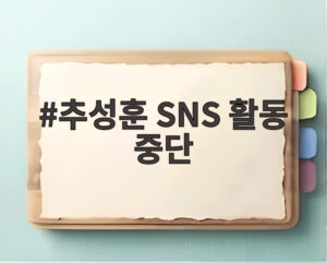 추성훈 SNS 활동 중단