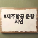 제주항공 운항 지연 이륙 직전 보조배터리 화재 승객 대피와 보상 제주항공 운항 지연