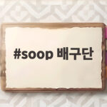 soop 배구단