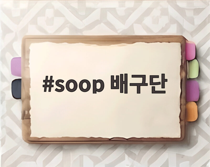 soop 배구단 첫 경기와 김세진 감독 복귀 무엇이 달라졌나 1 soop 배구단