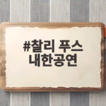 찰리 푸스 내한공연 3만 8천명 스타디움 나연 듀엣까지 한눈에 찰리 푸스 내한공연